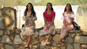 Episodio 7