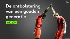 WK 2014: De ontbolstering van een gouden generatie bij de Rode Duivels — foto 1
