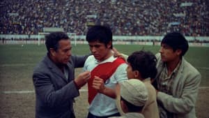 Cholo — foto 1