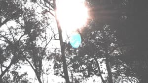 PANIC — foto 1