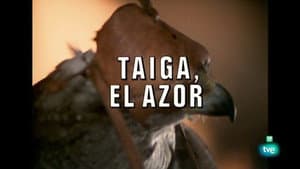 Episodio 18