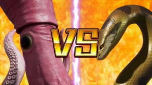 Episodio 36