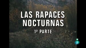 Episodio 50