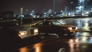Night Bloomers — foto 1