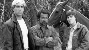 High Mountain Rangers — foto 1
