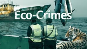 Eco-Crimes — foto 1
