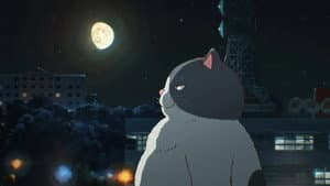 かなしきデブ猫ちゃん — foto 2