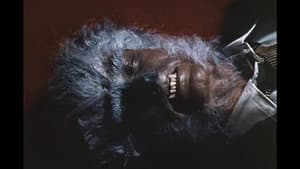 The Werewolf of Washington — foto 10