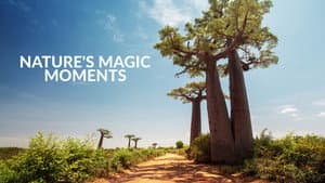 Nature's Magic Moments — foto 2