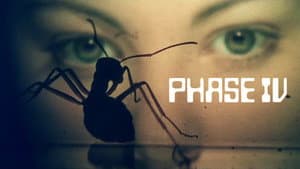 Phase IV — foto 11