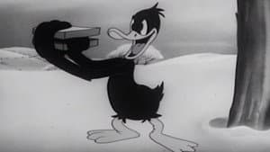Daffy's Southern Exposure — foto 2