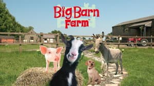 Big Barn Farm — foto 1