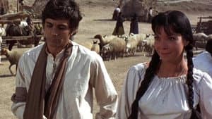 El regreso de los siete magníficos — foto 5