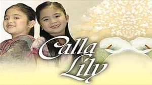 Calla Lily — foto 1