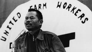 The Delano Manongs: Forgotten Heroes Of The United Farm Workers Movement — foto 1