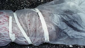 Twin Peaks — foto 11