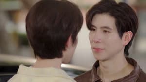 หมาน้อง — foto 7