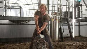 Thor — foto 8