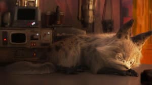 Ahsoka: Sabine's Loth-Cat — foto 4
