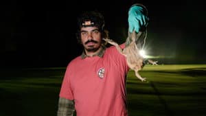 Episodio 3