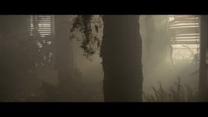 Anton — foto 2