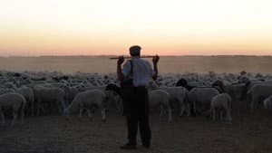 El pastor — foto 1
