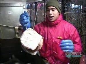 Episodio 1