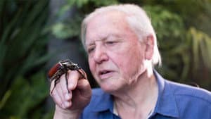 Micro Monsters with David Attenborough — foto 7