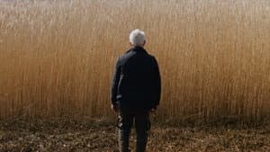 Rietland — foto 6