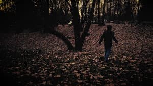 Woods — foto 1