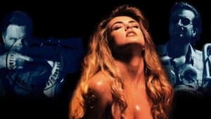Sexual Response — foto 5