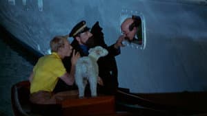 Tintin et les oranges bleues — foto 3