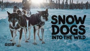 Snow Dogs: Into the Wild — foto 2