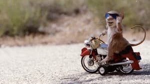 Runaway Ralph — foto 2