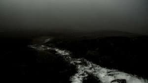 I HAVE NOT BEEN AFRAID OF GOING BLIND FOR A LONG TIME — foto 1