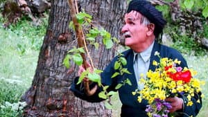 سەما لەگەڵ خودا دەکەم — foto 2