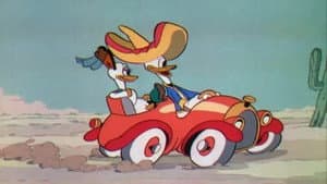 Donald - Don Donald — foto 1