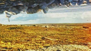 Tuktuit: Caribou — foto 3