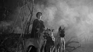 La maldición de la Llorona — foto 2