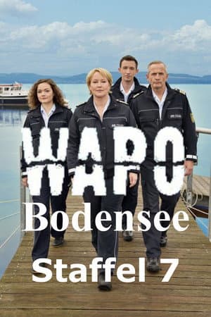 Temporada 7