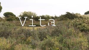 Vita — foto 1
