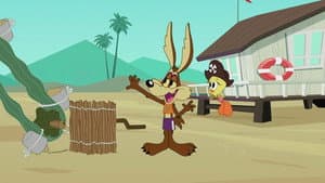 Episodio 16