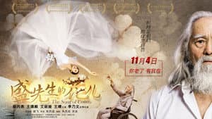 The Song of Cotton — foto 1