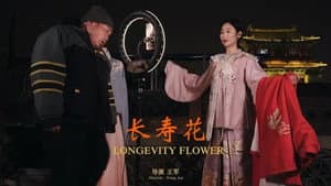 长寿花 — foto 1