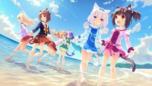 Nekopara — foto 7