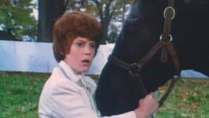 Black Beauty — foto 1