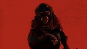Primate — foto 4