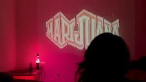Paranoia — foto 1