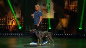 Cesar Millan: Viva Las Vegas! — foto 4