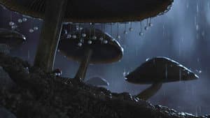 Minusculo - El valle perdido de las hormigas — foto 7